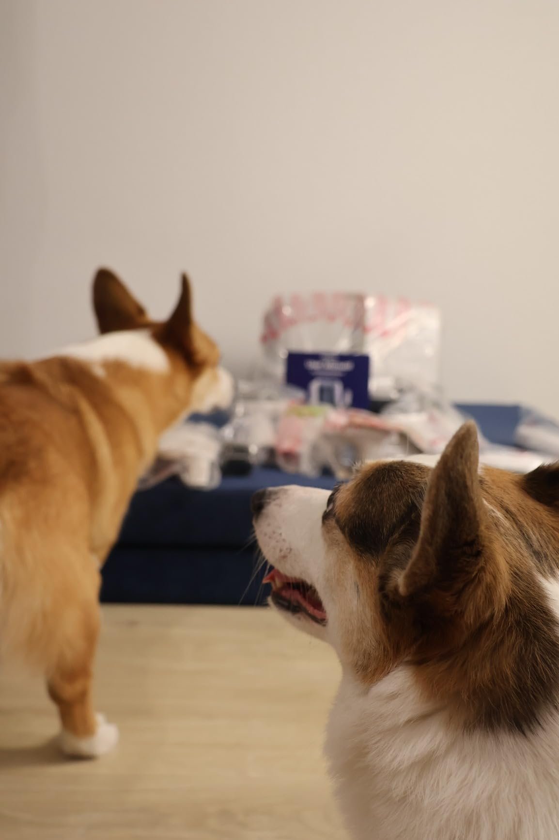 Pro Pet Grooming Vacuum Kit photo review