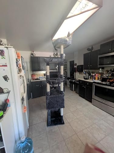Globlazer Large Cat Tower photo review