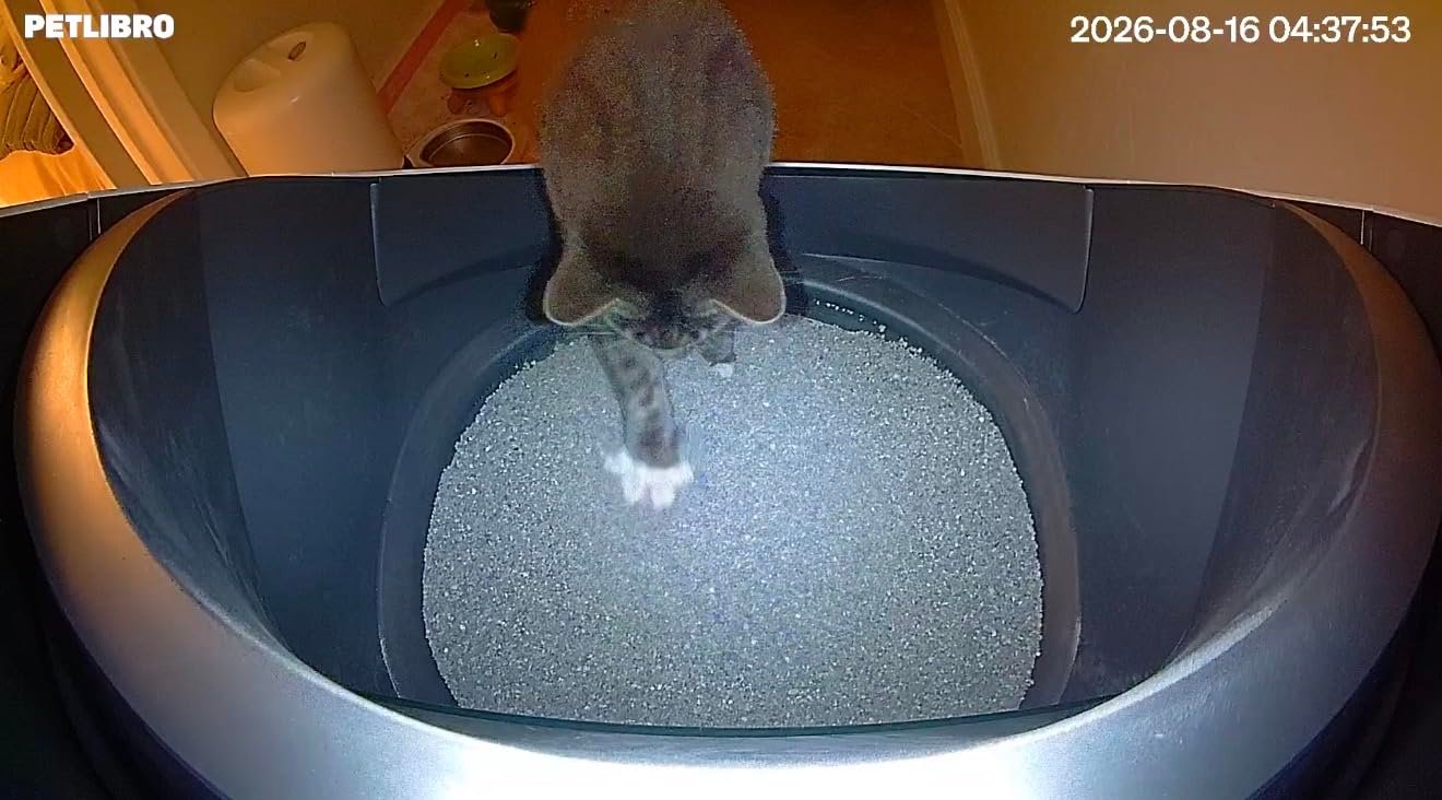 AI‑Powered Open‑Top Litter Box photo review
