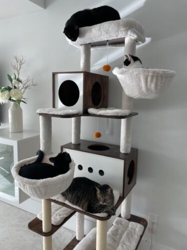 Feandrea Multi‑Level Cat Tree photo review