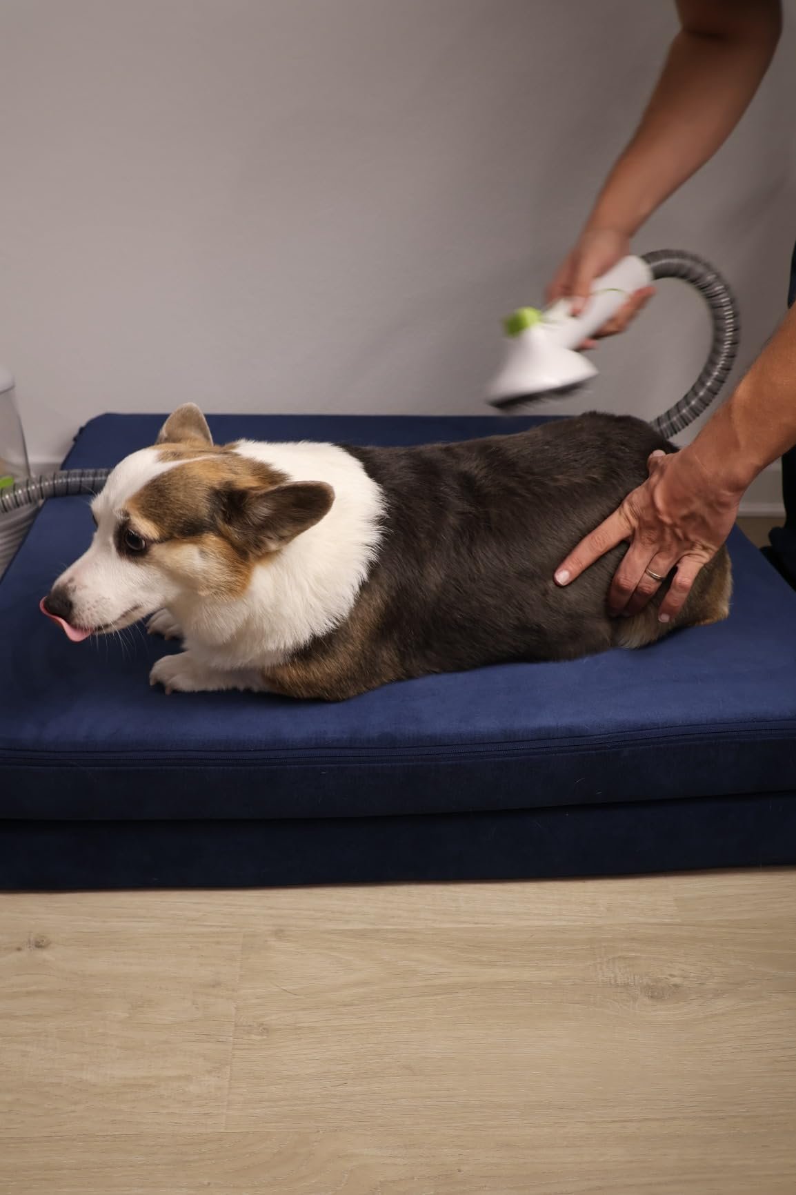 Pro Pet Grooming Vacuum Kit photo review