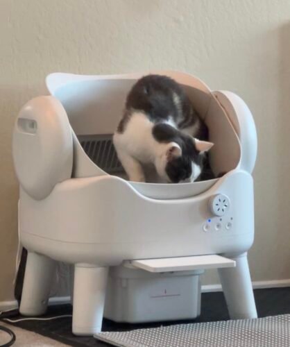 RPZ Automatic Litter Box photo review