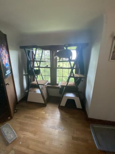 38.2" Modern Multi‑Level Cat Condo photo review