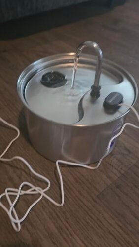 3.5L Stainless Steel Cat Fountain photo review