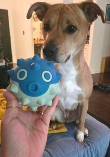 BarkBox Large Dog Fetch Toy photo review