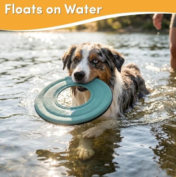 61j0dxOqJFL._AC_ Eco Floating Dog Frisbee