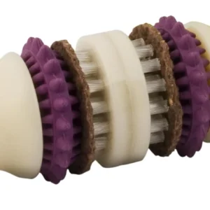 Dental Bristle Bone Dog Toy
