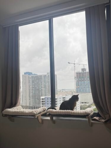 Cloud‑Soft Cat Window Sill Perch photo review