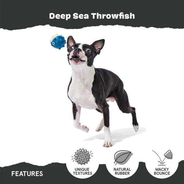61pdRVWs96L._AC_SL1500_ BarkBox Large Dog Fetch Toy