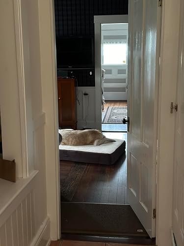 KOPEKS Orthopedic Dog Bed photo review
