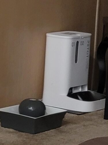 Smart Dog Feeder photo review