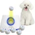 Interactive Fetch Dog Machine