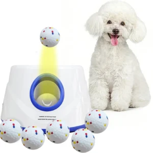 Interactive Fetch Dog Machine