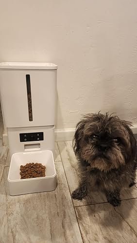 Smart 15L Dog Feeder photo review