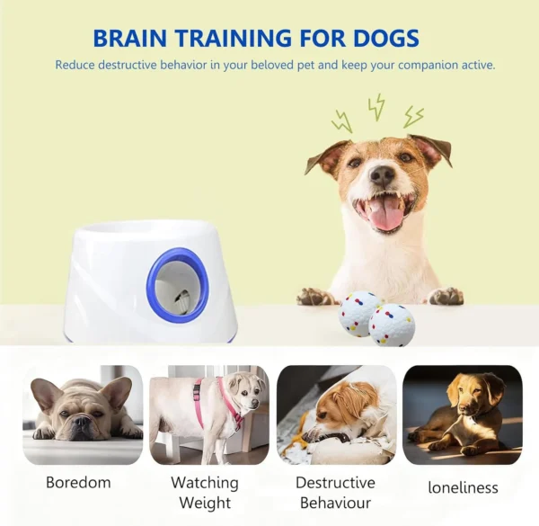 Interactive Fetch Dog Machine