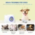 Interactive Fetch Dog Machine