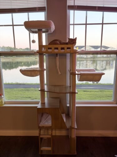 Hey‑brother Wooden Cat Tree photo review