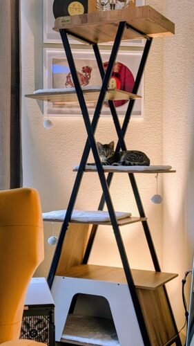 38.2" Modern Multi‑Level Cat Condo photo review