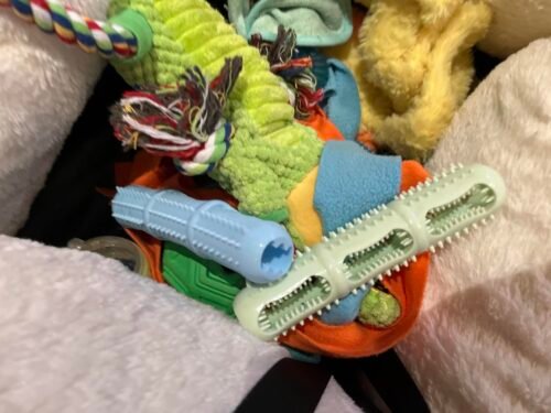 Puppy Dental Chew Toy Set photo review