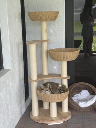 SHODMI Modern Cat Tree photo review
