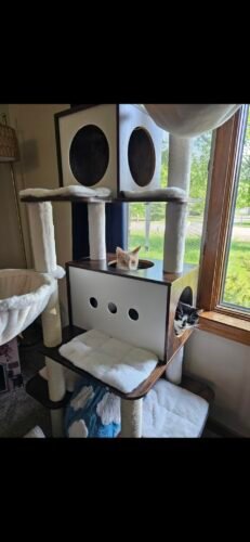 Feandrea Multi‑Level Cat Tree photo review