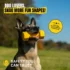 Tough Dumbbell Dog Chew Toy