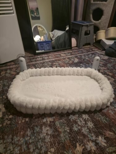 Cheerpals Foldable Cat Window Perch photo review