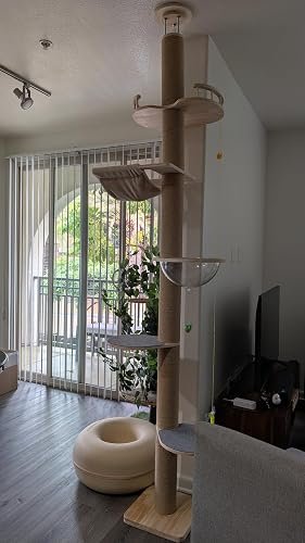 Floor‑to‑Ceiling Cat Tree photo review