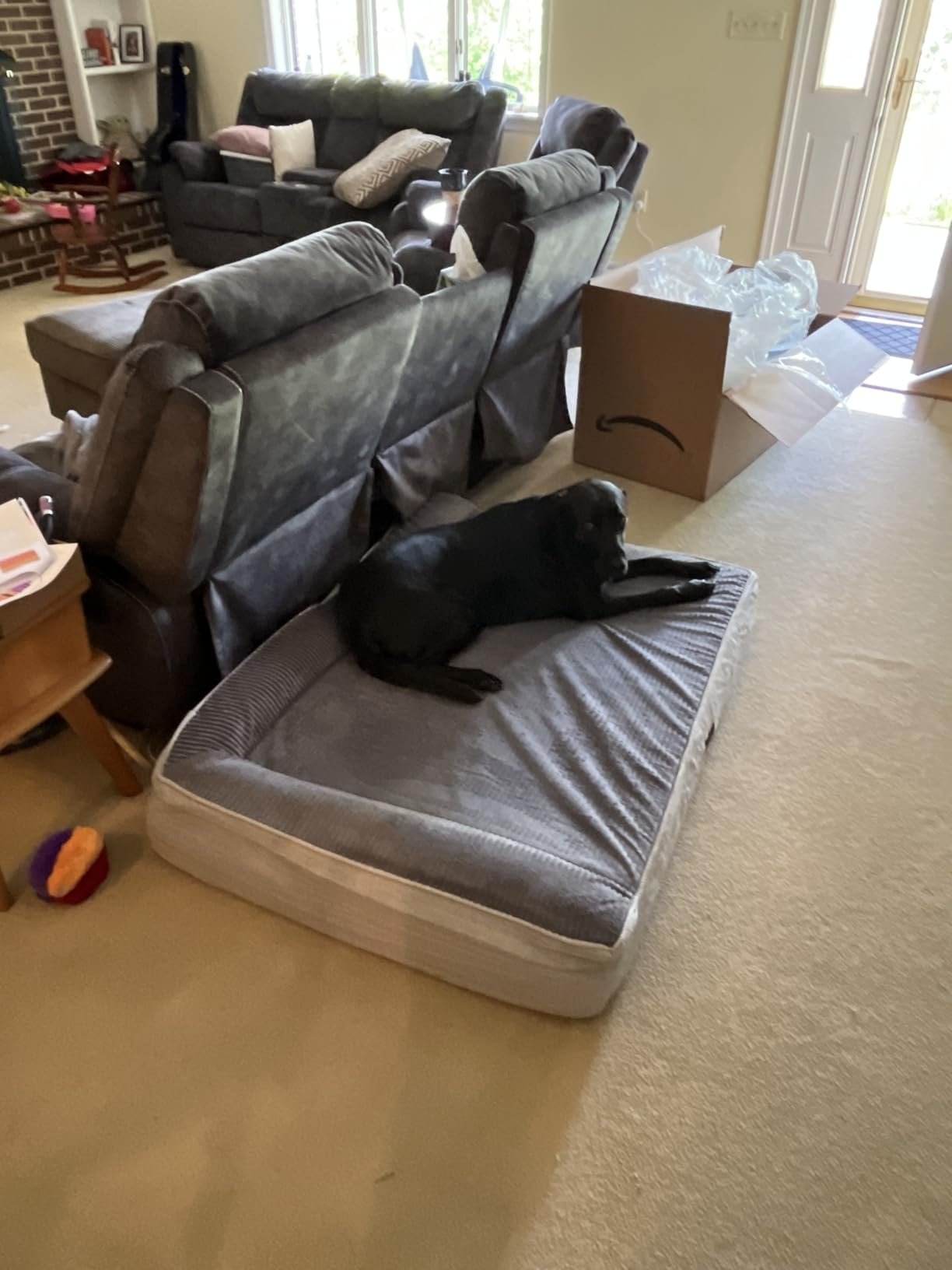 Heavy‑Duty XXL Dog Bed photo review