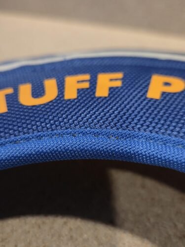 Soft Foam Dog Frisbee Toy photo review