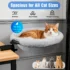 Rotating Desk Cat Bed
