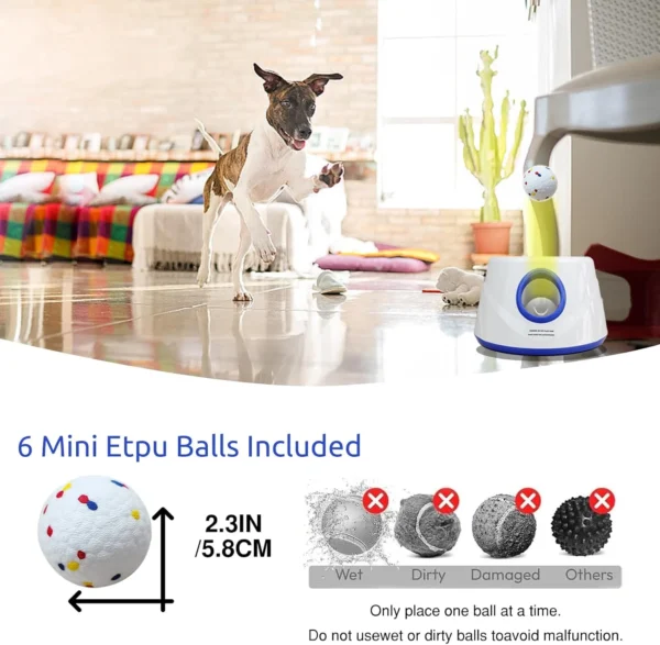 Interactive Fetch Dog Machine