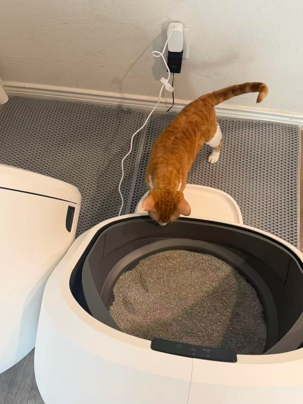 AI‑Powered Open‑Top Litter Box photo review
