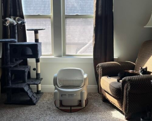 Paruuntys Automatic Litter Box photo review