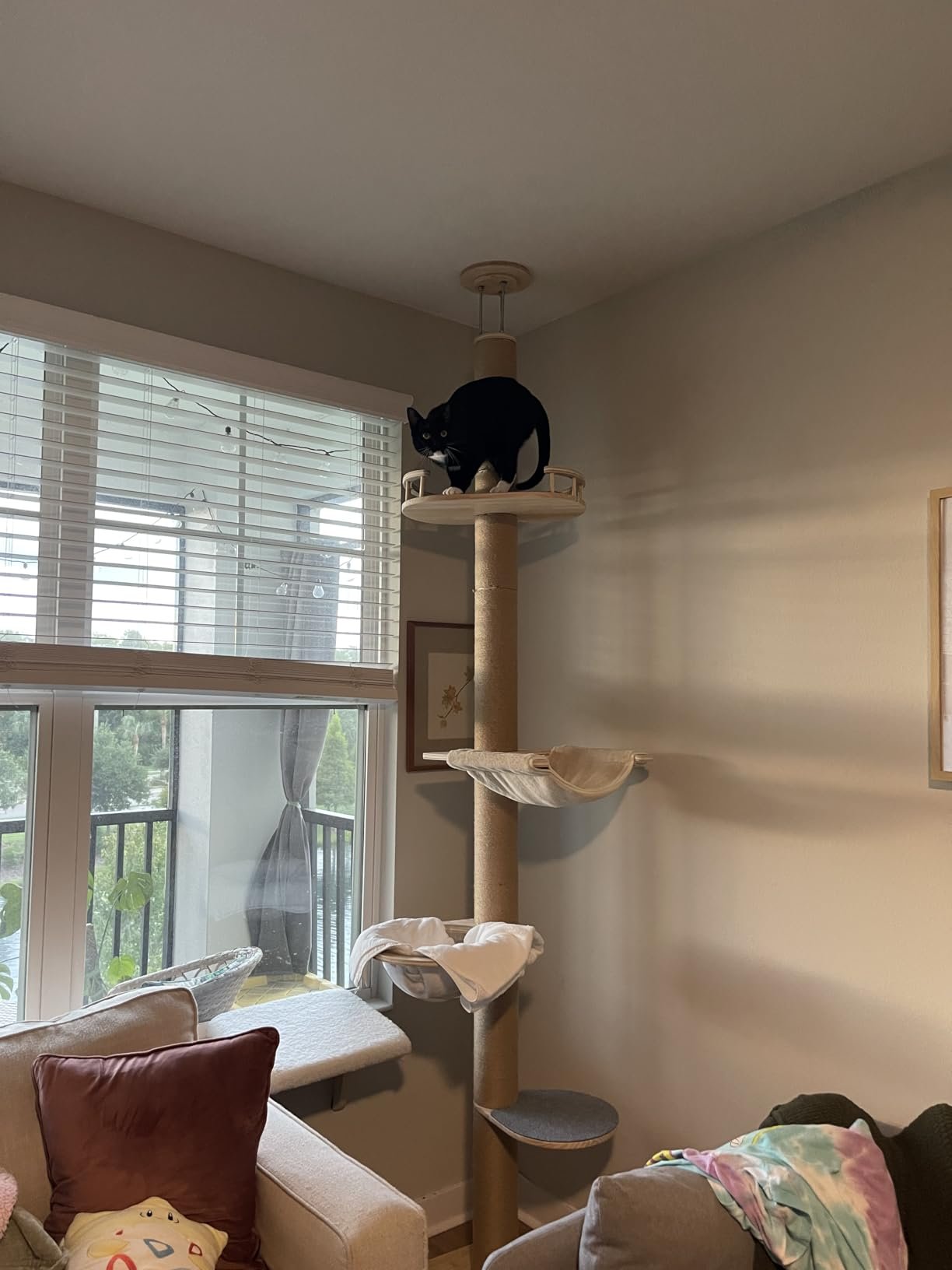 Floor‑to‑Ceiling Cat Tree photo review