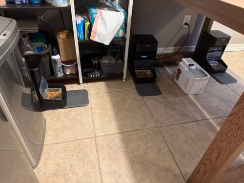 3L RFID Smart Cat Feeder photo review