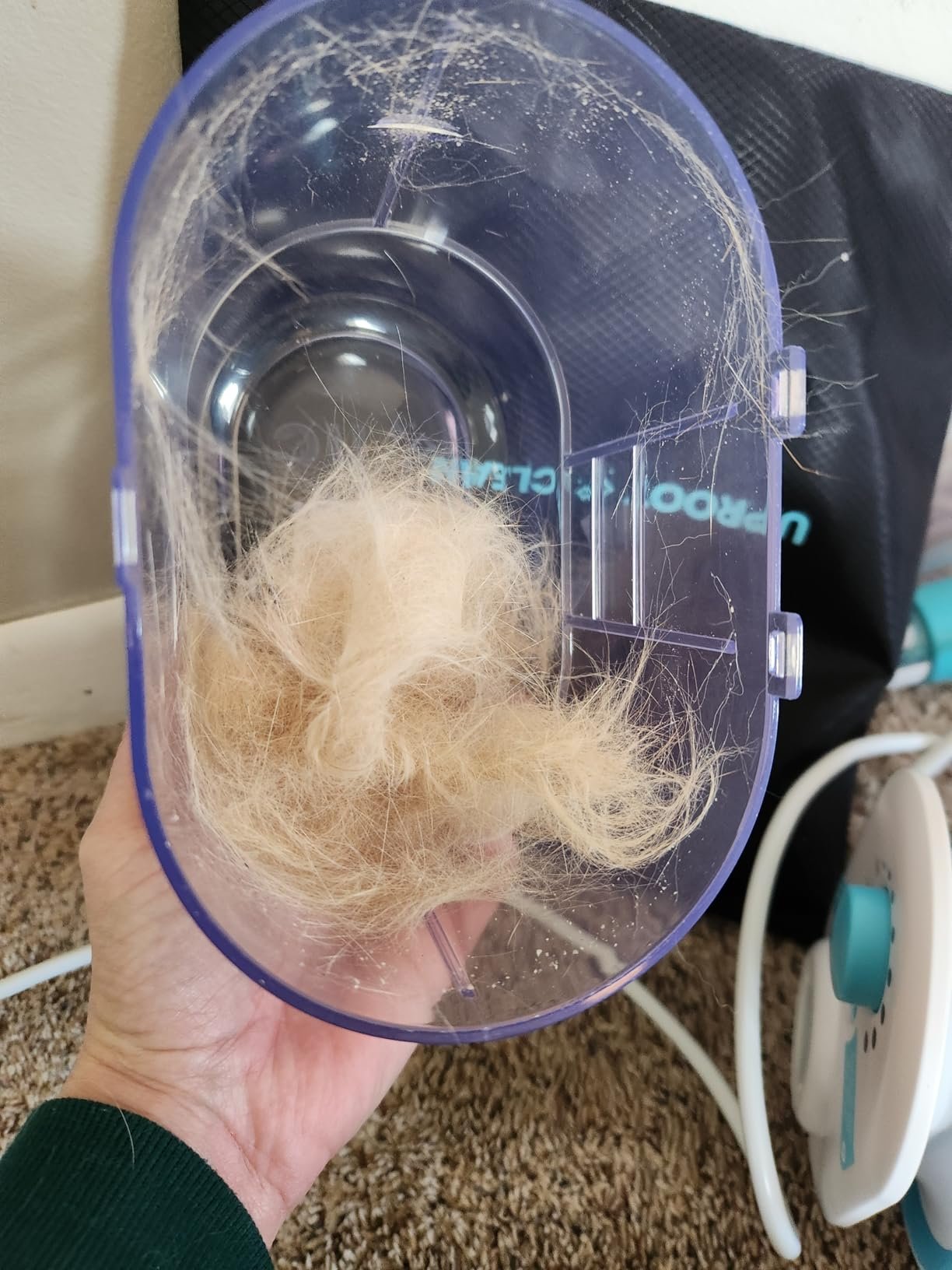 JirPet Hands‑Free Pet Dryer photo review