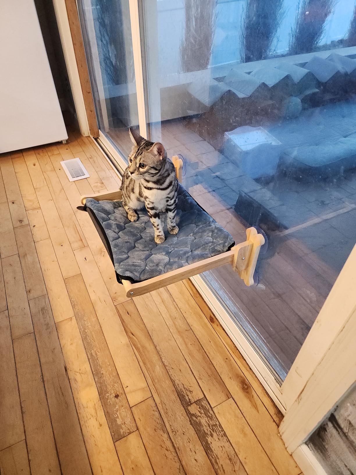 Szee All‑Season Cat Window Perch photo review