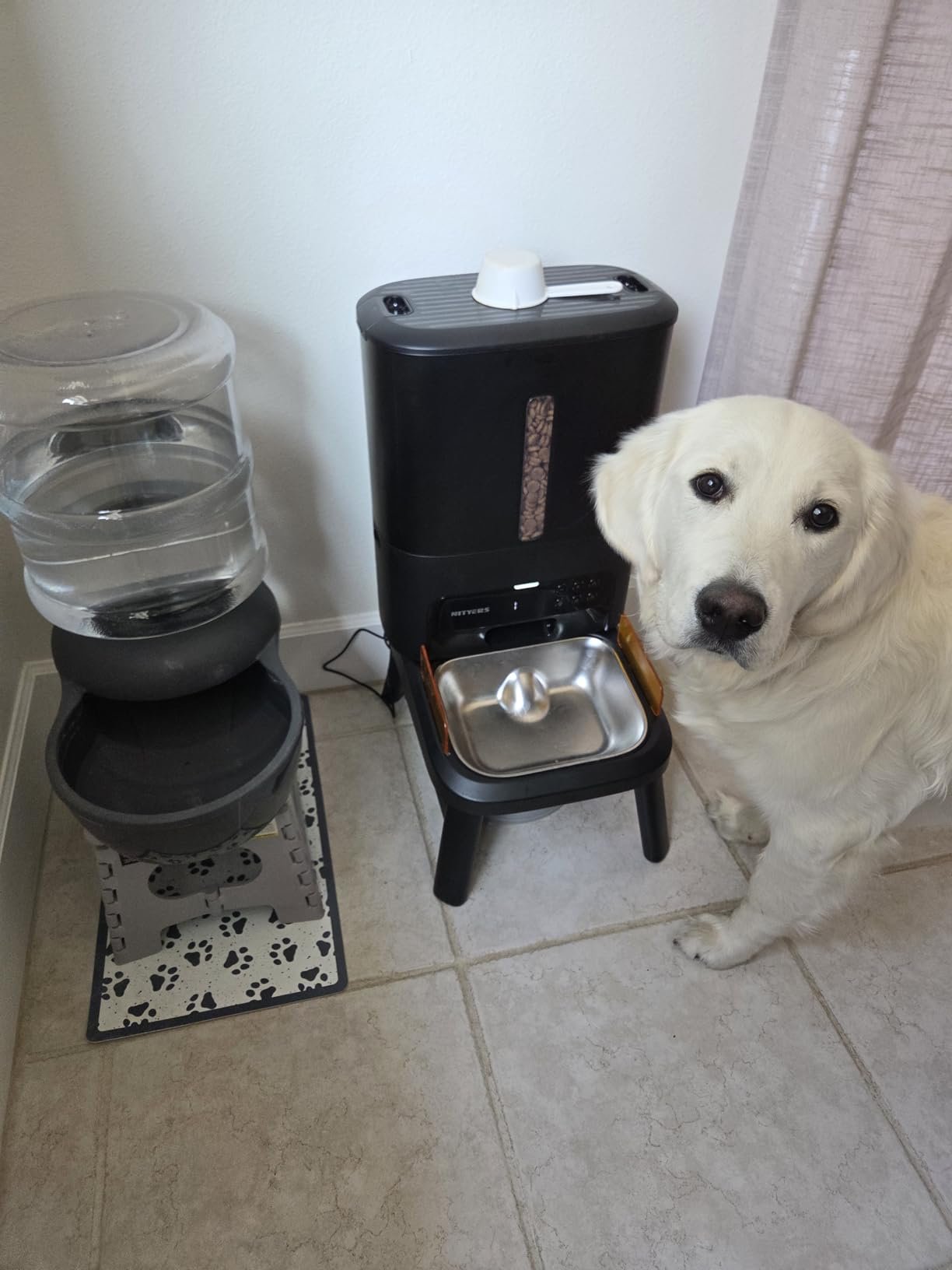 Smart Pet Feeder‑Camera photo review