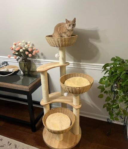 SHODMI Modern Cat Tree photo review