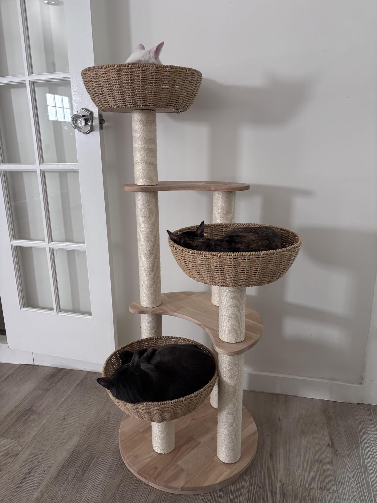 SHODMI Modern Cat Tree photo review