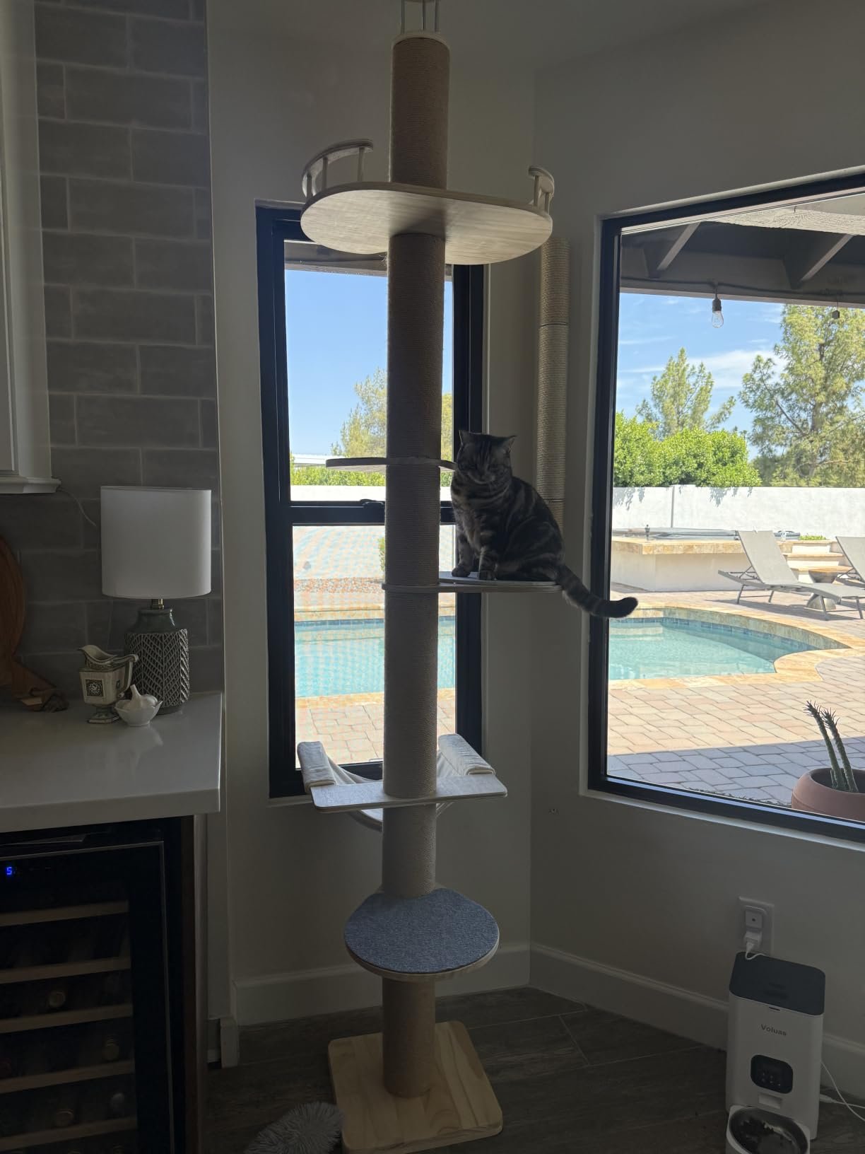 Floor‑to‑Ceiling Cat Tree photo review