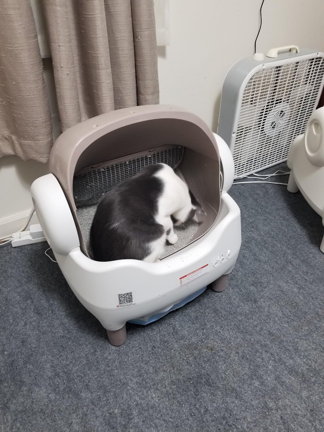 Paruuntys Automatic Litter Box photo review