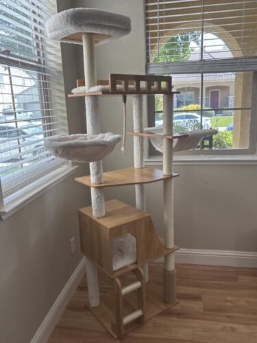 Hey‑brother Wooden Cat Tree photo review