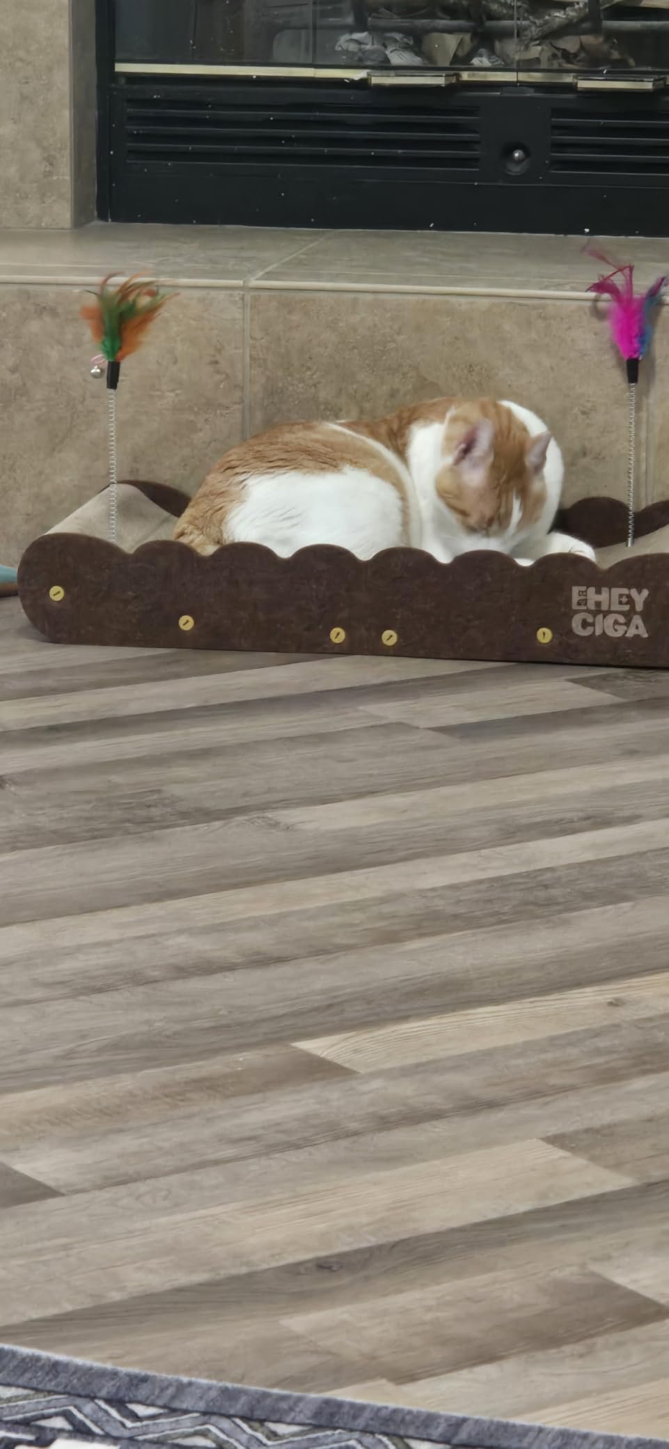 Eheyciga Large Cat Scratcher Bed photo review