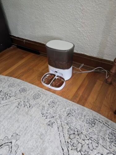 8L Dual Hopper Feeder photo review