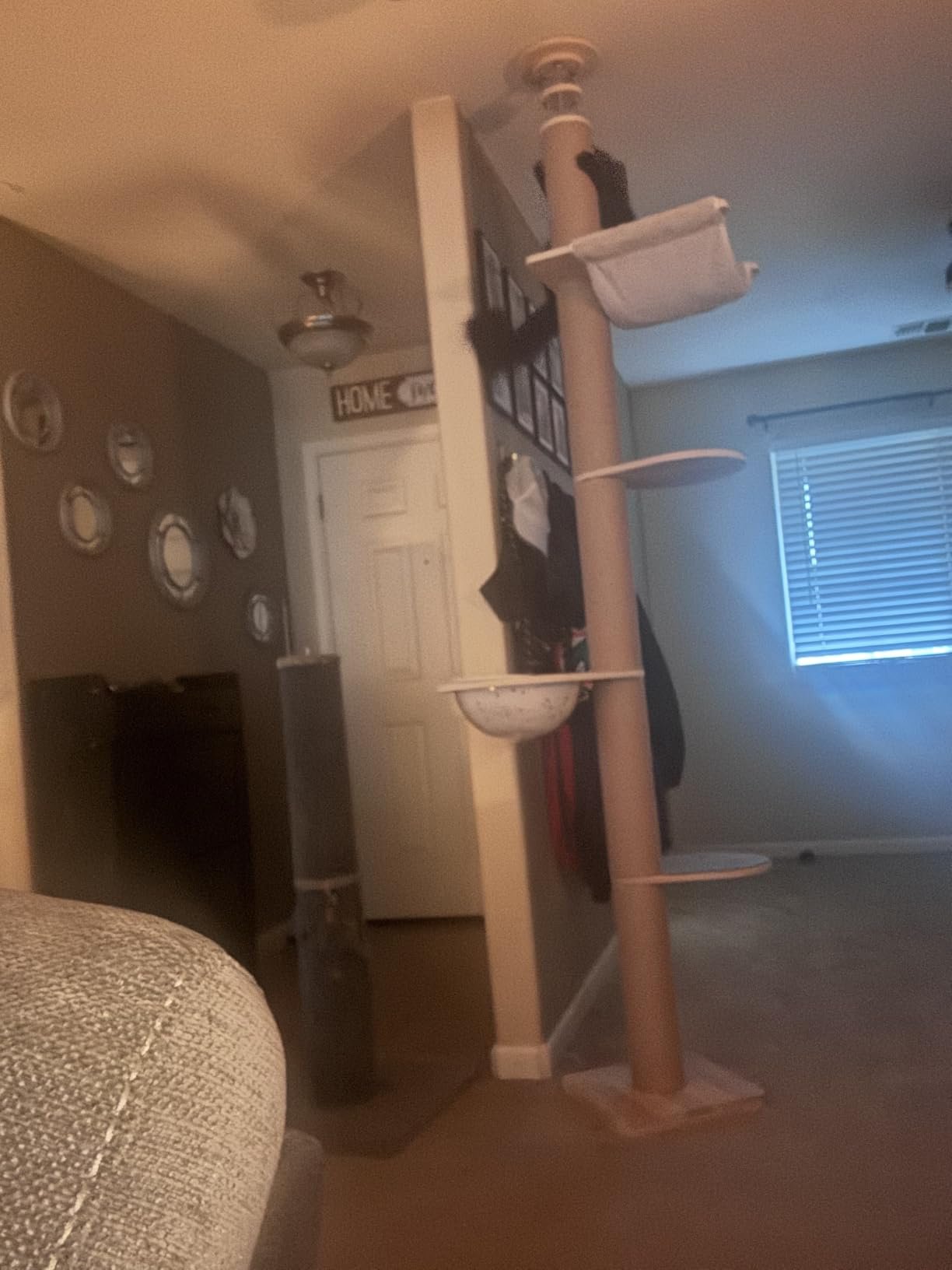 Floor‑to‑Ceiling Cat Tree photo review