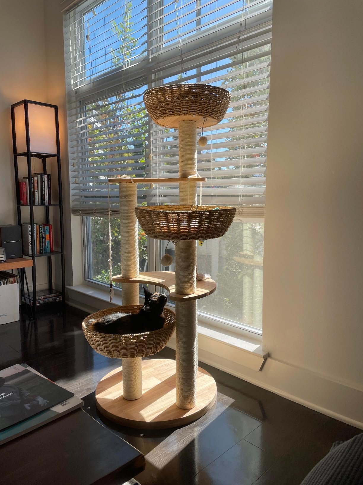 SHODMI Modern Cat Tree photo review