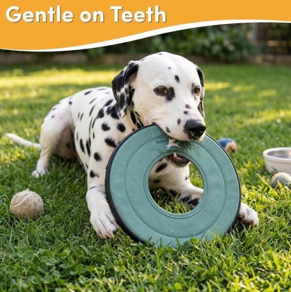 71M0lxZrUpL._AC_ Eco Floating Dog Frisbee