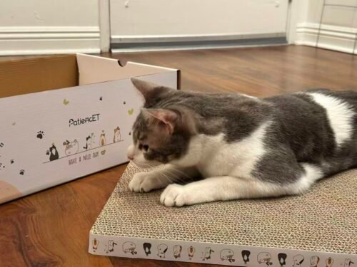 3‑in‑1 Cardboard Cat Scratcher Set photo review
